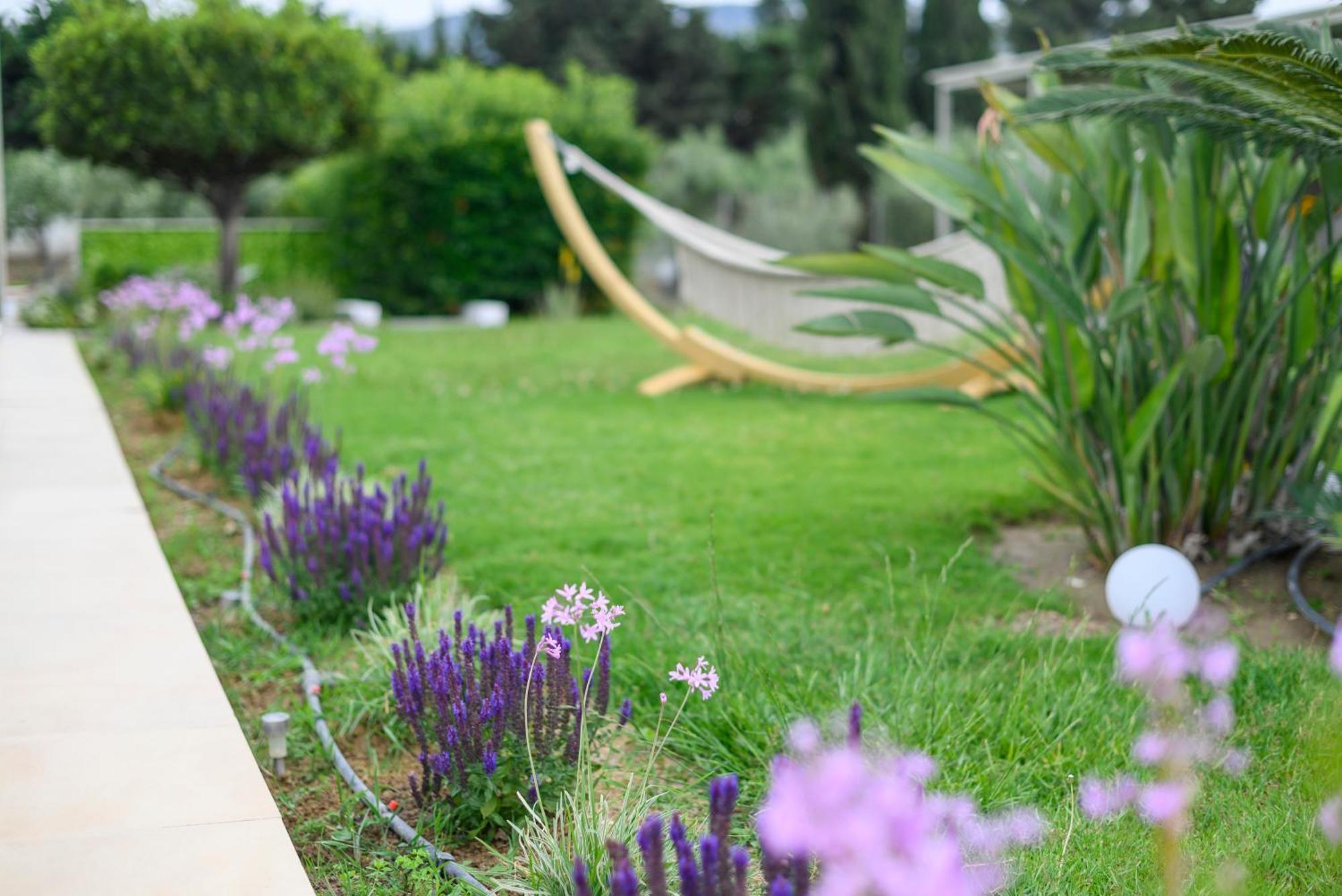 Villa Phillyrea Luxury