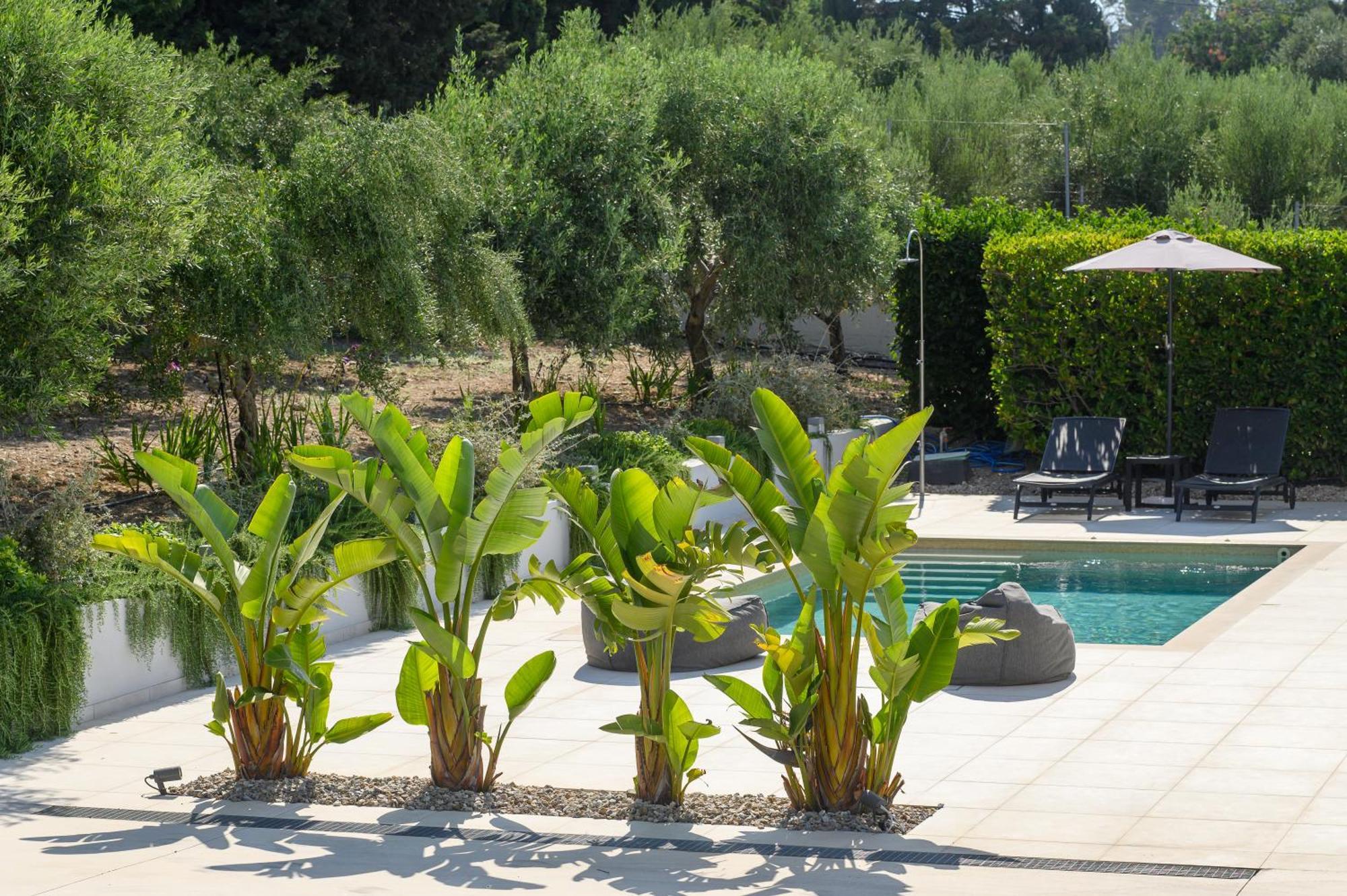 Villa Phillyrea Luxury *